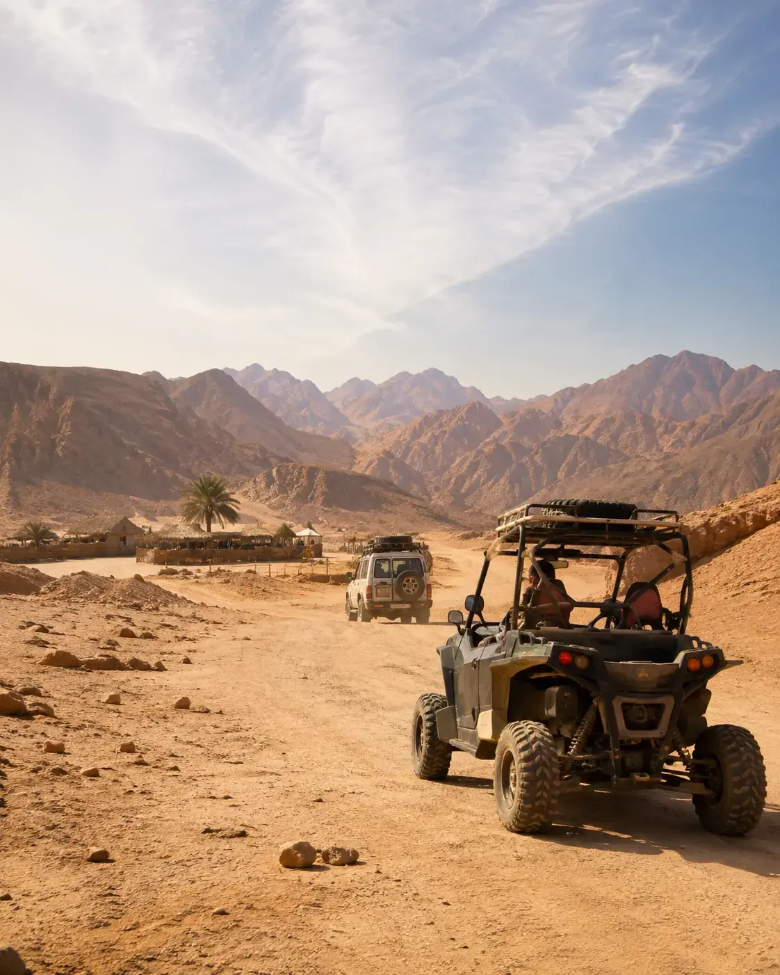 Family Safari · 5 Hours