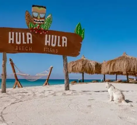 Hula Hula Island gallery photo 1