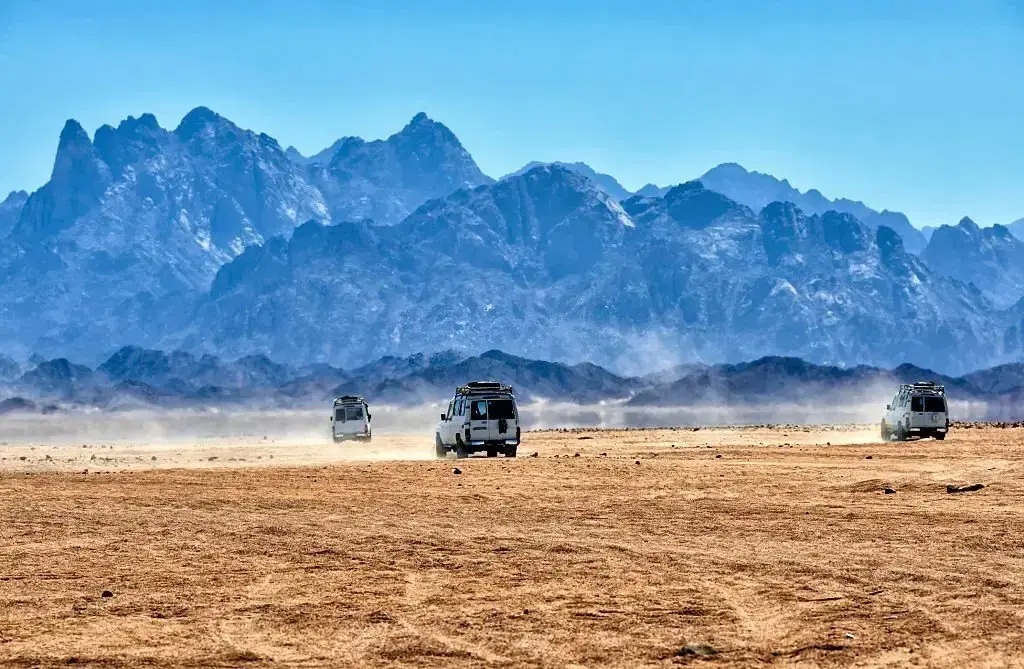 Mega Safari · 3 Hours gallery photo 1